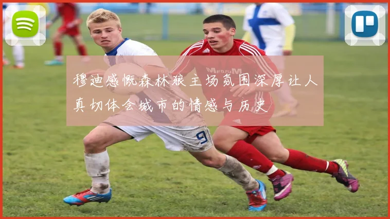 穆迪感慨森林狼主场氛围深厚让人真切体会城市的情感与历史