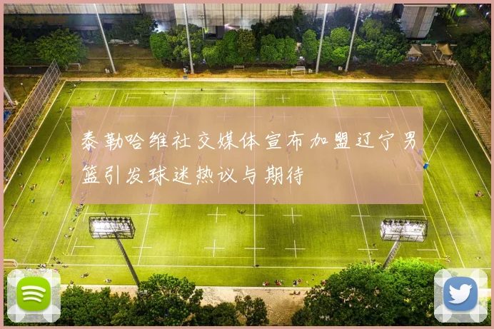 泰勒哈维社交媒体宣布加盟辽宁男篮引发球迷热议与期待