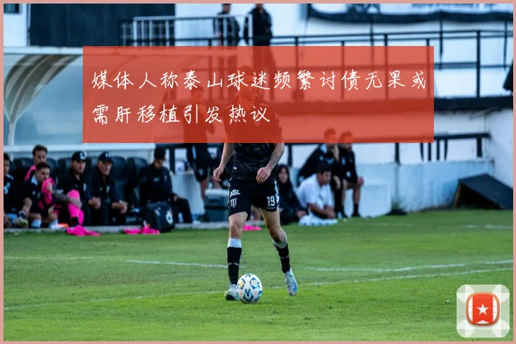 媒体人称泰山球迷频繁讨债无果或需肝移植引发热议