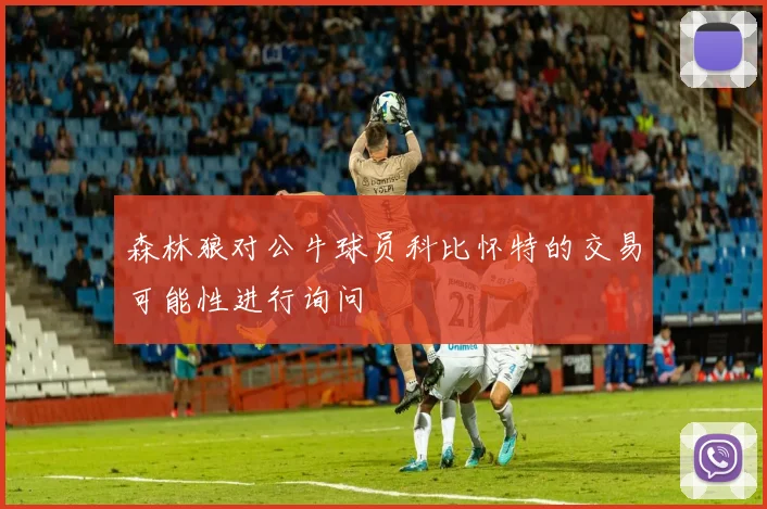 森林狼对公牛球员科比怀特的交易可能性进行询问