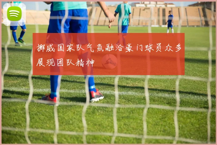 挪威国家队气氛融洽豪门球员众多展现团队精神