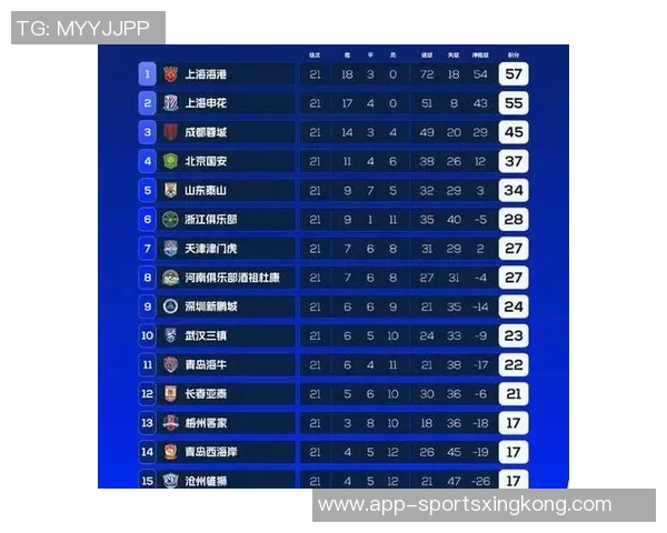 中超球队身价排行榜揭晓海港领衔申花国安泰山紧随其后